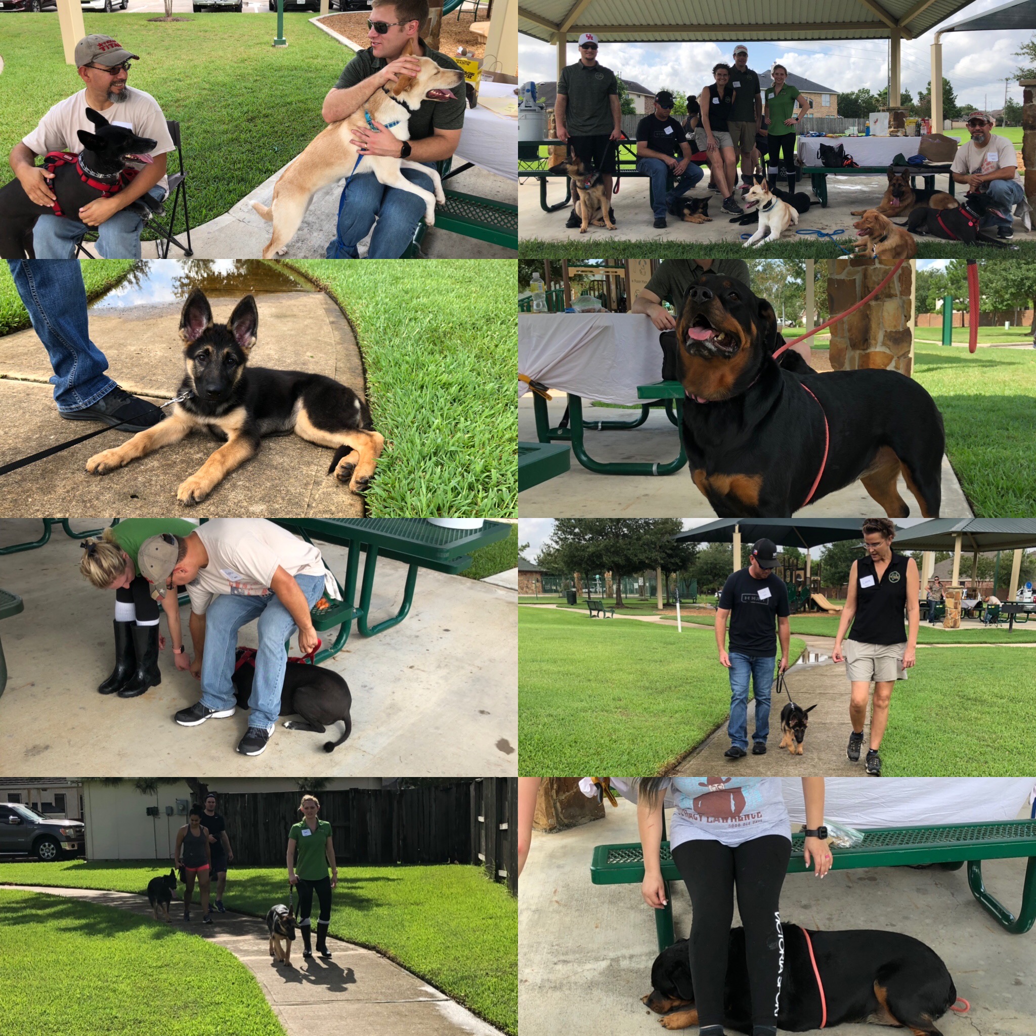 37153A1B-5170-4998-AC4D-CE3559E03088