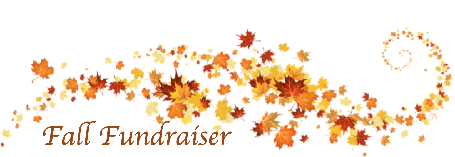 Screen Shot 2019-10-21 at 10.08.53 AM