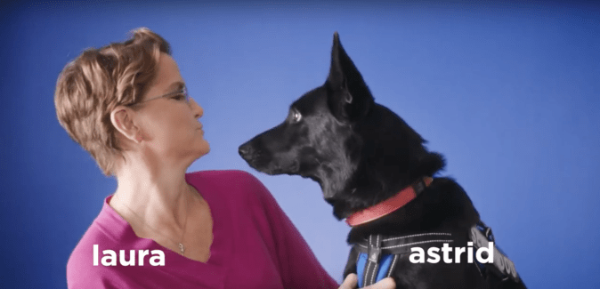 Screen Shot 2020-02-14 at 9.44.53 AM