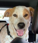 90347280_631222694092976_5193142887142916096_o