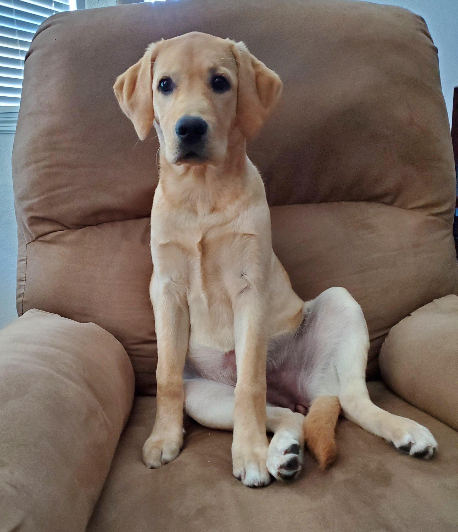 95382491_3737720436269238_4215499496102035456_o