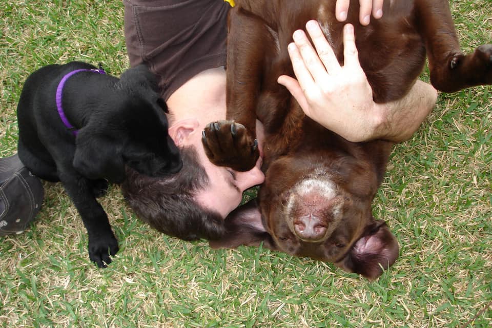 119749923_753350111880233_7394959190171632063_n