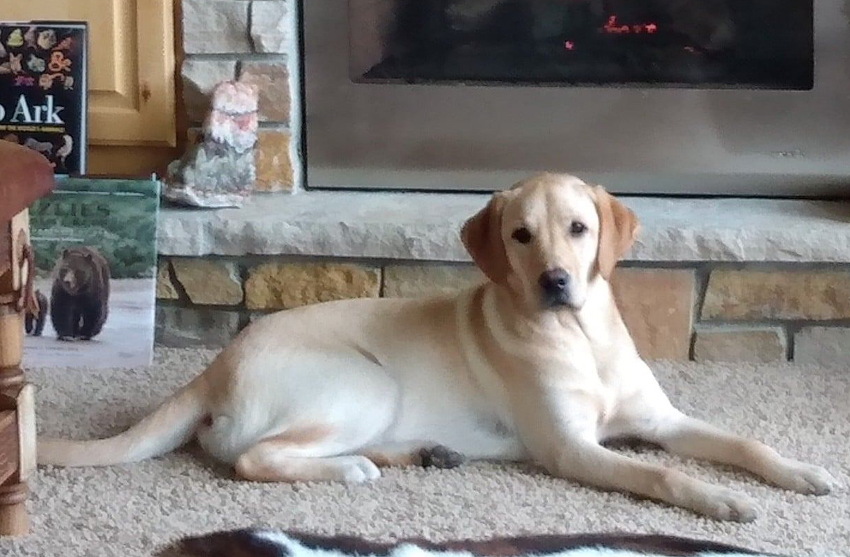 131290397_814454492436461_3213578481059648837_o