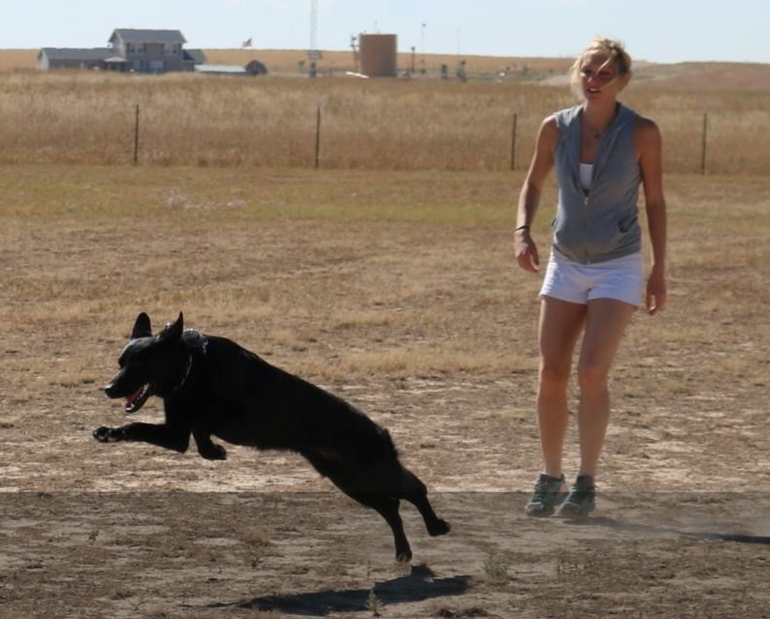 Screen Shot 2020-07-31 at 12.37.51 PM