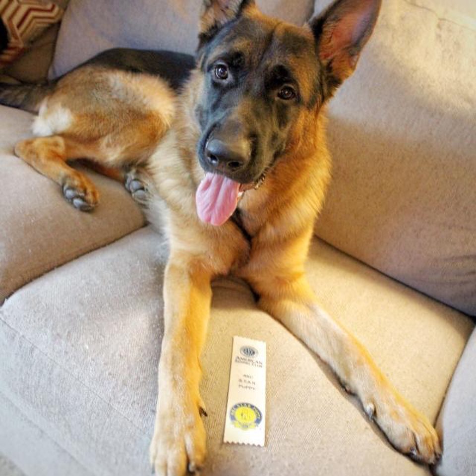 116254129_719873005227944_1800394902706308251_n