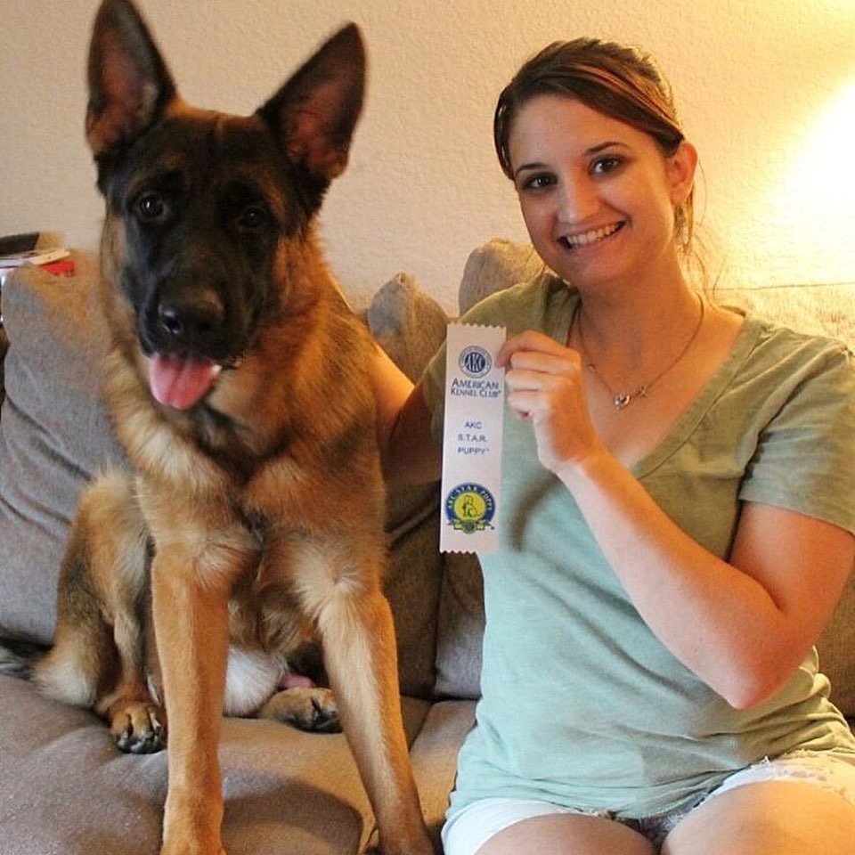 116337506_719872961894615_7981699291051060080_n