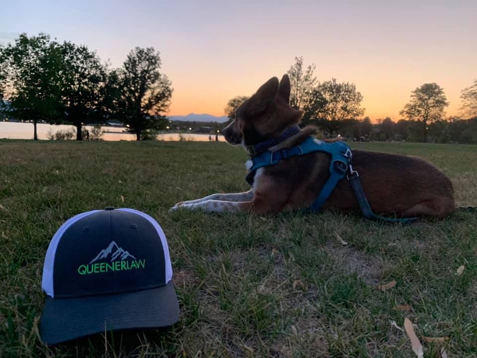 116297406_10102991716578366_9220665373474578804_n