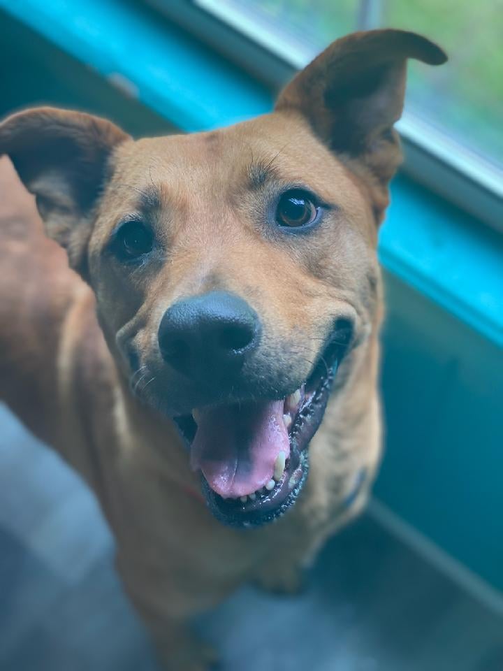 204120270_921828835032359_6728302637698165054_n