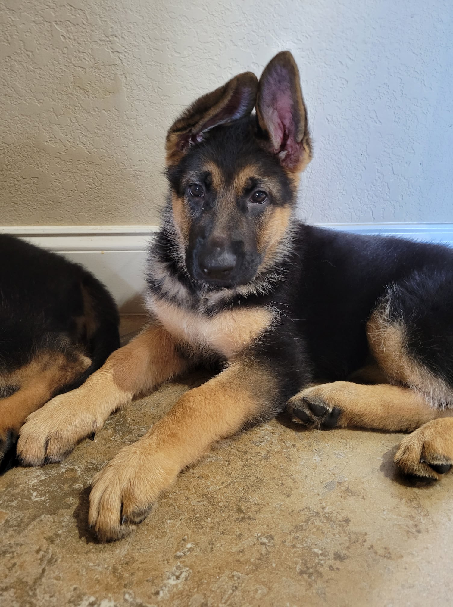 213207895_928238324391410_5666423220313930809_n