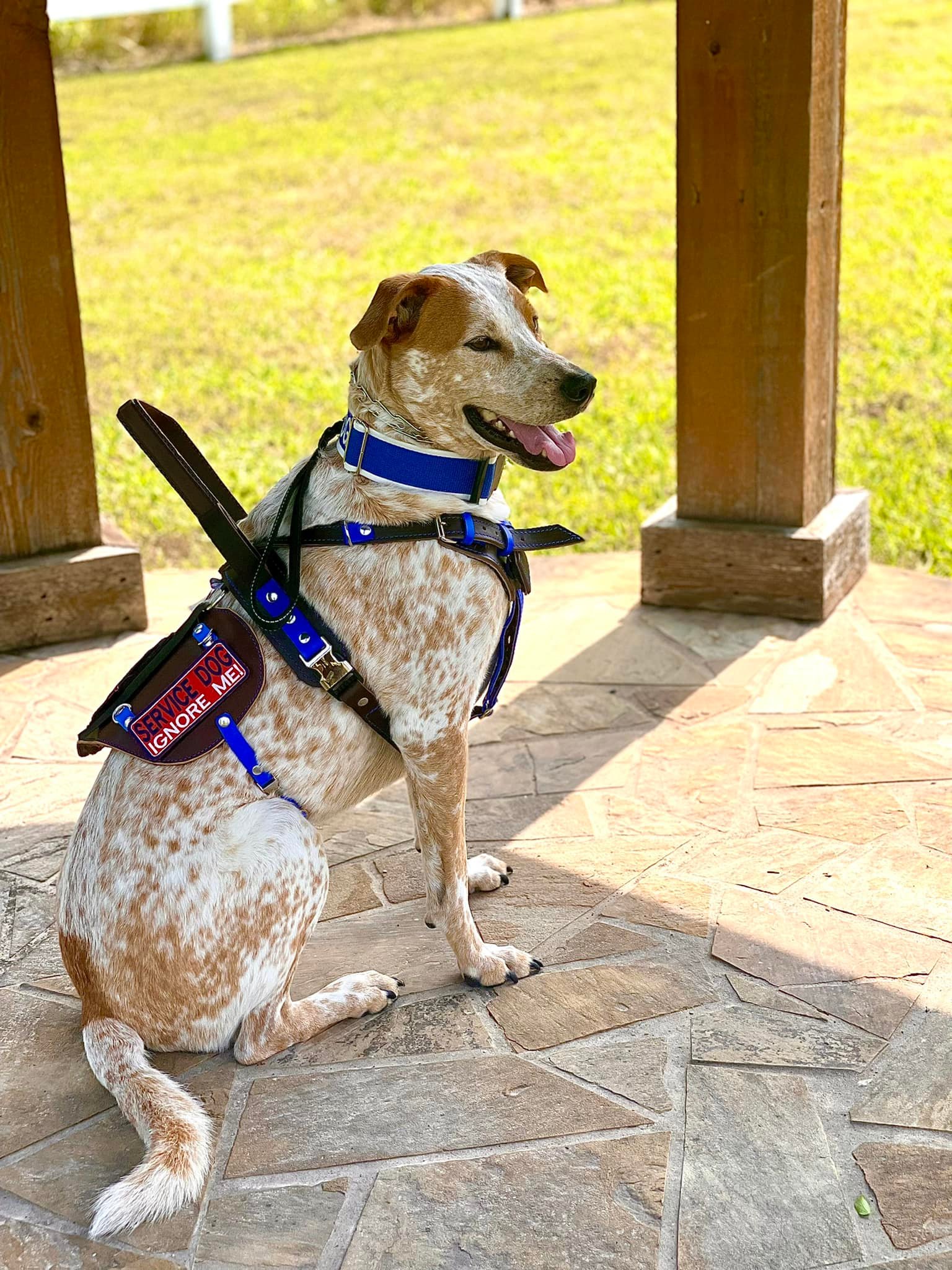 284921328_3222763801344866_4217430510769574788_n-1