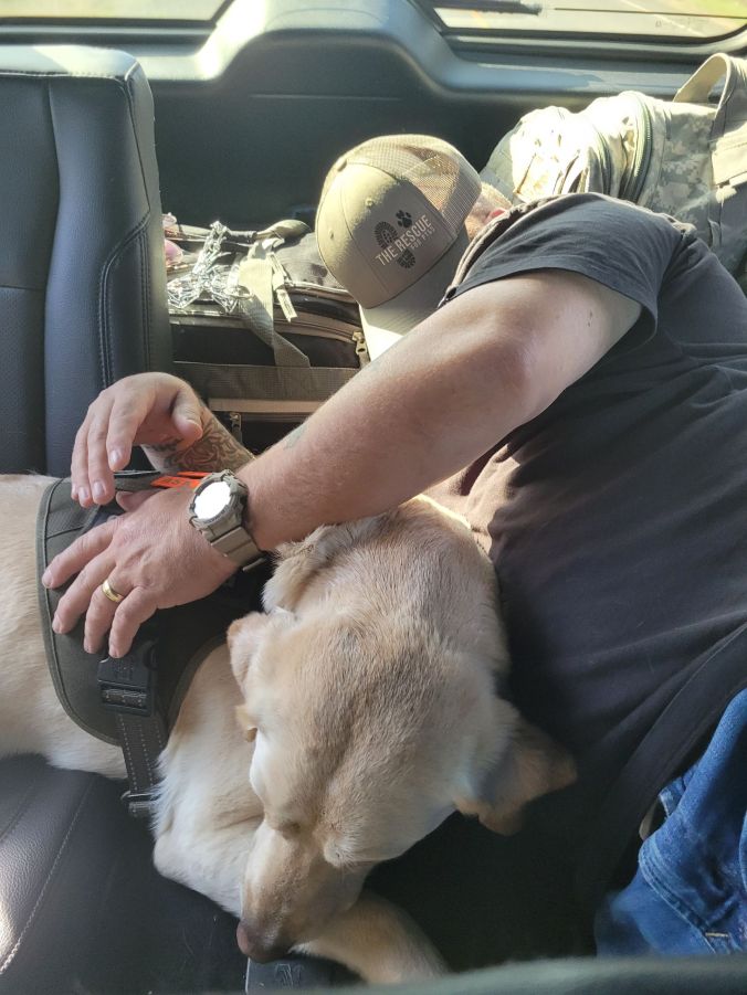 Gus & Brian | The Rescue for PTSD