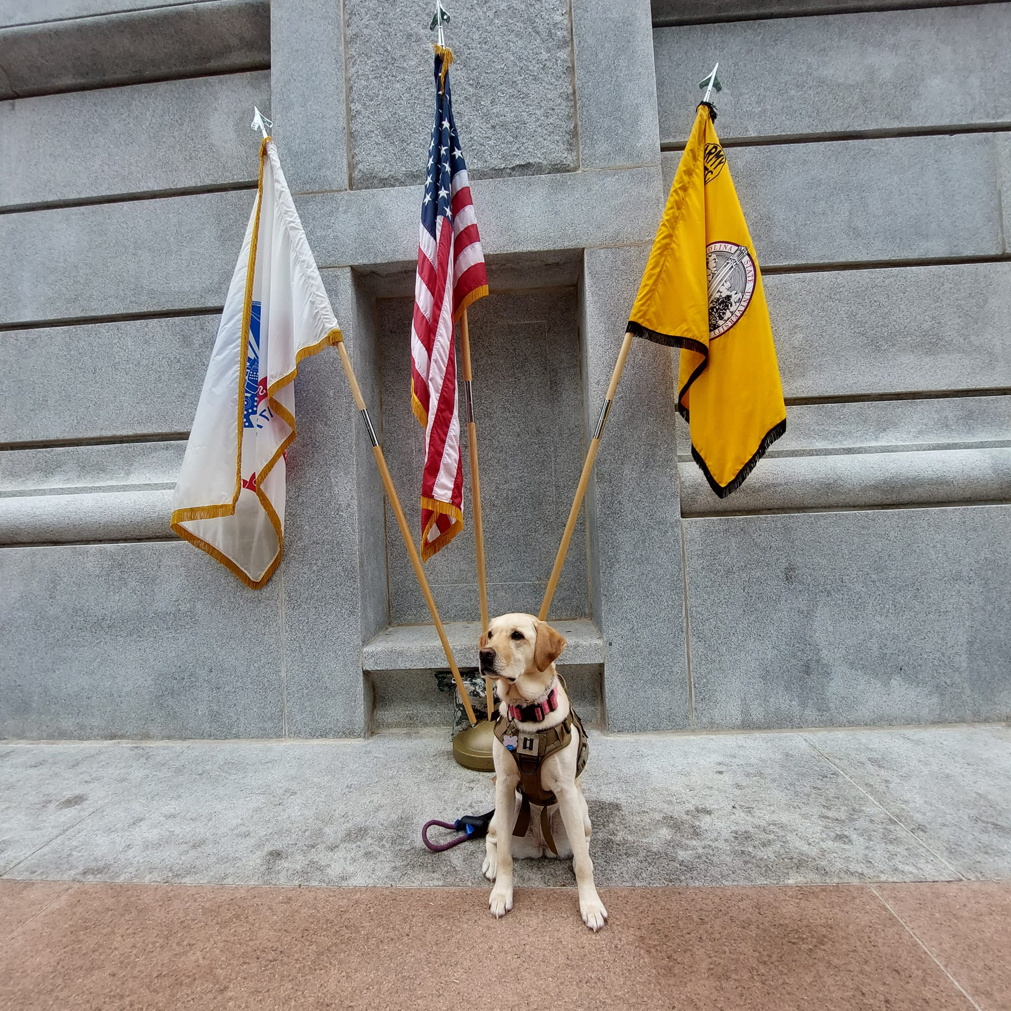 280234809_10159824073429694_3247243441890412141_n