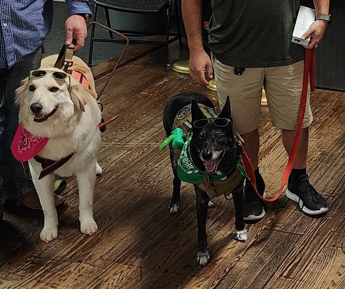 Service Dog Rules And Regulations Service Dog Rules And Regulations